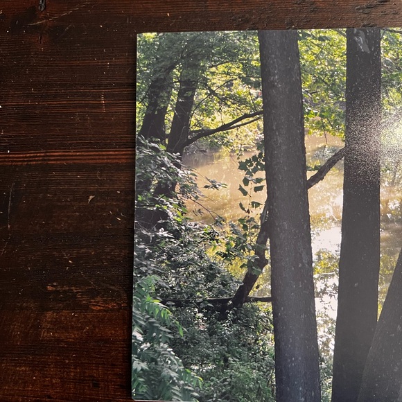 Stream Pool Color Photo - Picture 2 of 3